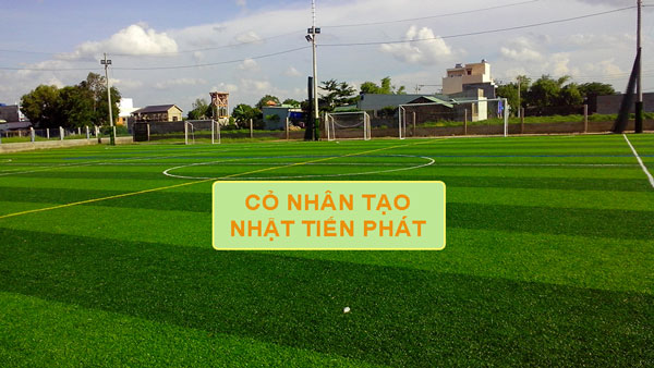 Sân bóng cỏ nhân tạo Cây cẩm